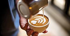 Cafe Promenade Barista Pouring Milk