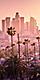 Finding the Best Places to Eat in Los Angeles, California