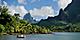 South Pacific Islands Rainforest
