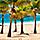 Southern Caribbean Beach with Palm Trees
